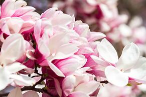 Niagara Falls Motor Lodge