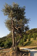 BioAgriturismo Il Falco