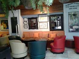 B & B Comfy Inn