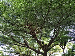 Sandy Serviced Apartment