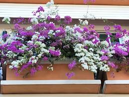 Sandy Serviced Apartment