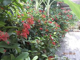 Sandy Serviced Apartment