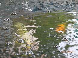 Sandy Serviced Apartment