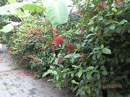 Sandy Serviced Apartment