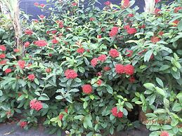 Sandy Serviced Apartment