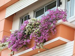 Sandy Serviced Apartment