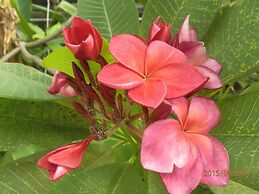 Sandy Serviced Apartment