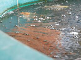 Sandy Serviced Apartment