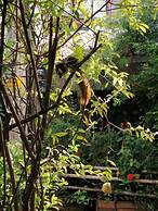 Sandy Serviced Apartment