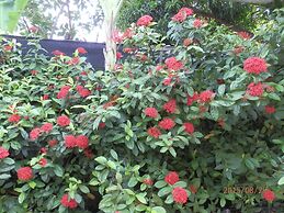 Sandy Serviced Apartment