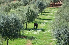 Tenuta Masseria & Spa Chicco Rizzo