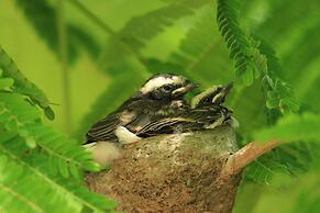 Tatsaraasa Resort and Spa Udaipur