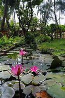 Cassia Cottage Resort and Spa