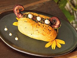 Hurricane Jeri Praia