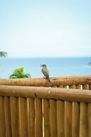 Hurricane Jeri Praia