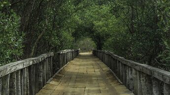 Hurricane Jeri Praia