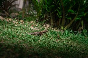 Hurricane Jeri Praia