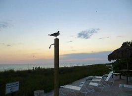 Coconuts Beach Resort