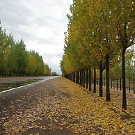 Casa de Uco Vineyards & Wine Hotel