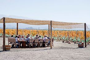 Casa de Uco Vineyards & Wine Hotel