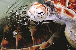 Swiss Garden Resort Residences Kuantan