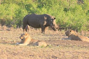 Rhino Ridge Safari Lodge