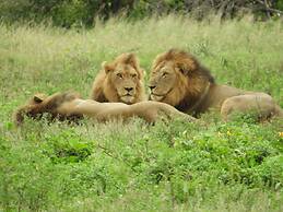 Rhino Ridge Safari Lodge