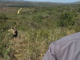 Rhino Ridge Safari Lodge