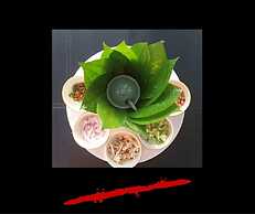 Phangan Paragon Resort & Spa