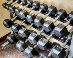 Comfort Suites Plymouth near US-30