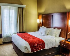 Comfort Suites Plymouth near US-30