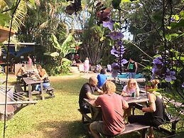 Costa Rica Backpackers - Hostel