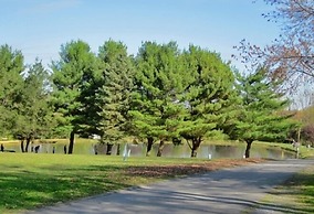 Appalachian Campsites