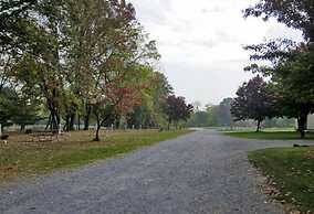 Appalachian Campsites