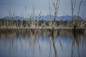 AAt 28 Goldsmith Motel