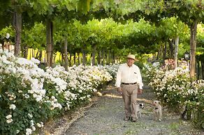 Hotel Cava Colchagua