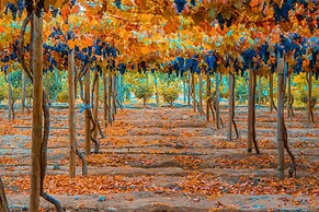 Hotel Cava Colchagua