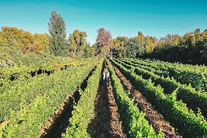 Hotel Cava Colchagua