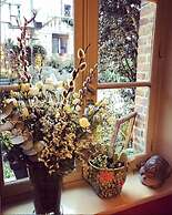 La Cour Sainte Catherine