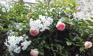 La Cour Sainte Catherine