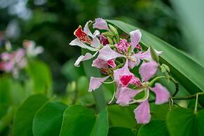 Pacific Paradise Resort