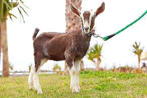 AJ Resort Island Ikeijima