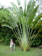 Chez Charly Bungalow