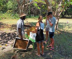 Firefly Estate Bequia