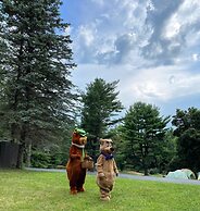 Yogi Bear's Jellystone Park Camp-Resort Wisconsin Dells