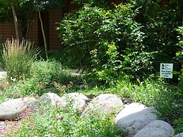 Ruidoso River Resort