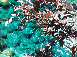 Ruidoso River Resort