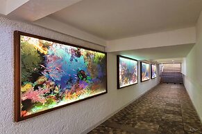 Cozumel Hotel & Resort - All Inclusive