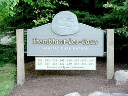 Tremblant les Eaux by Location ADP Tremblant