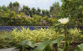 U Tiny Boutique Hotel Suvarnabhumi Bangkok